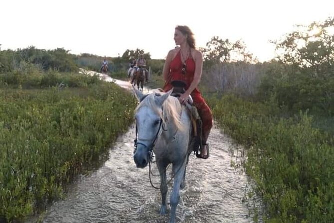 Horseback Riding on the Beaches of Holbox - The Sum Up
