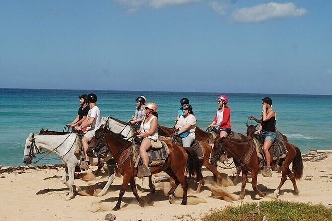 Horseback Riding on the Beaches of Punta Cana - Good To Know