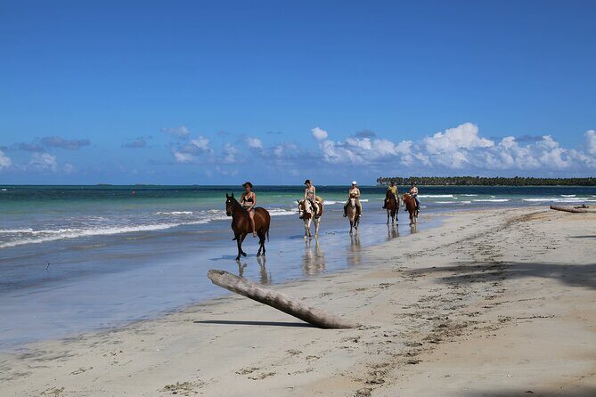 Horseback Riding on the Beaches of Punta Cana - FAQ