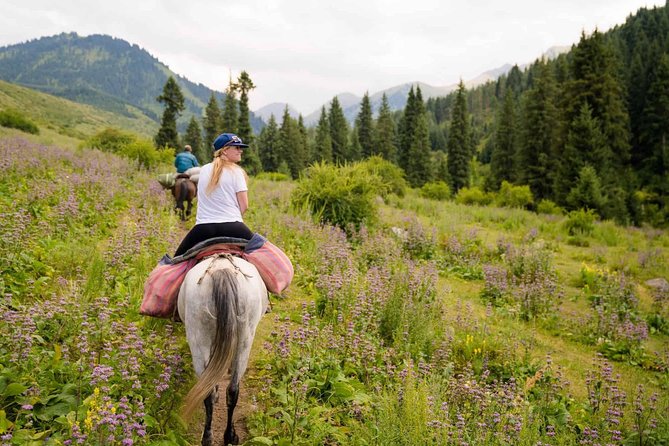 Horseback Riding on the Mountains of Chon Kemin National Park - Inclusions and Services