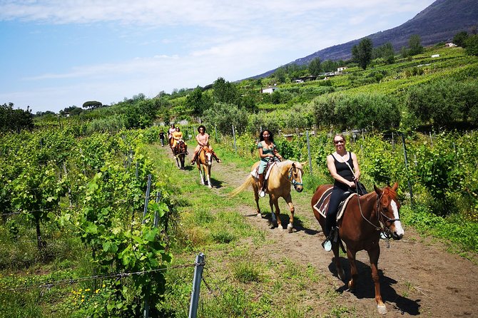 Horseback Riding on Vesuvius - Traveler Photos and Reviews