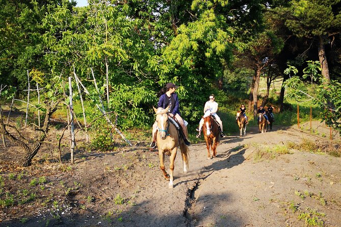 Horseback Riding on Vesuvius - Ranch Tour and Training Session