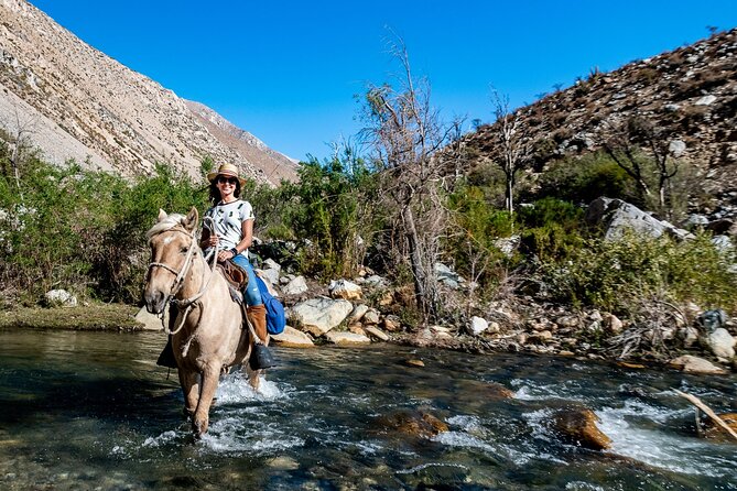 Horseback Riding River and Mountain Range - Explore the Scenic River Views