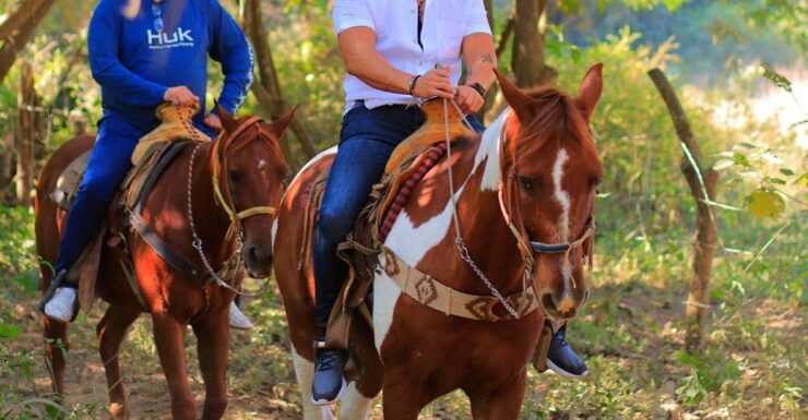 Horseback Riding - Activity Overview