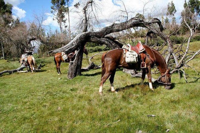 Horseback Riding Temple of the Moom in Cusco - Directions and Location