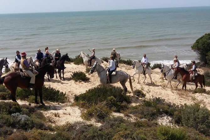 Horseback Riding Through Doñana and Visit of El Rocio - Private Tour - Tour Overview