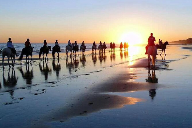 Horseback Riding Through Doñana and Visit of El Rocio - Private Tour - Itinerary Details