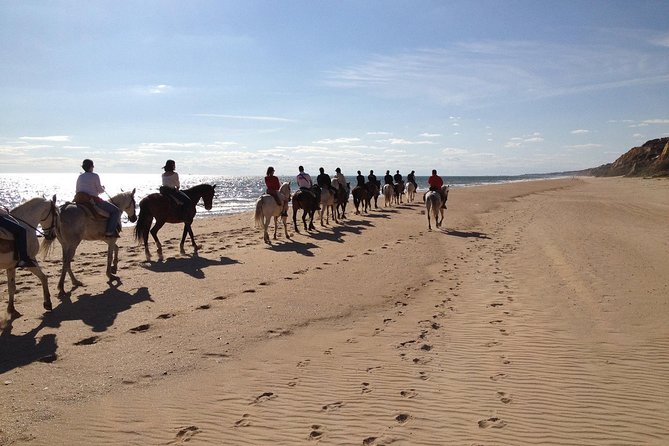 Horseback Riding Through Doñana and Visit of El Rocio - Private Tour - What to Expect