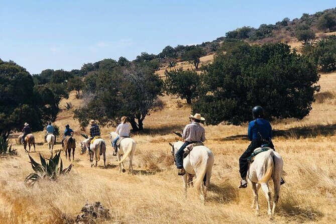 Horseback Riding through Mexican Haciendas - Good To Know