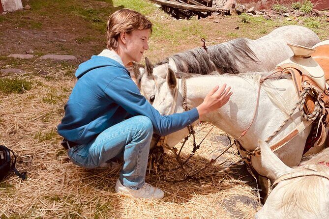 Horseback Riding through Mexican Haciendas - Who Is This Tour Best For?