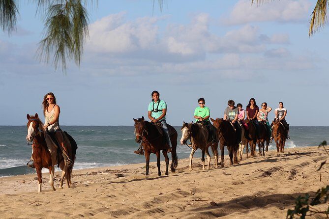 Horseback Riding through Secluded Beaches and Tropical Forests - Good To Know