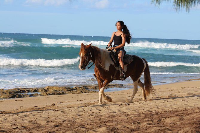 Horseback Riding through Secluded Beaches and Tropical Forests - What Makes This Tour Stand Out