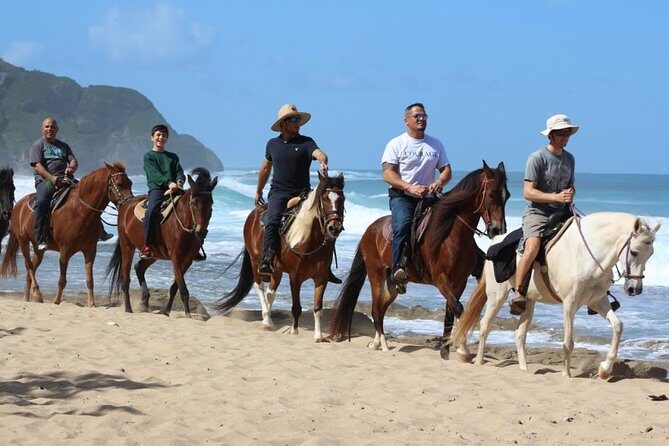 Horseback Riding through Secluded Beaches and Tropical Forests - The Value for Money