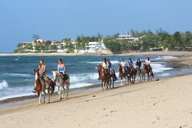Horseback Riding through Secluded Beaches and Tropical Forests - Final Verdict