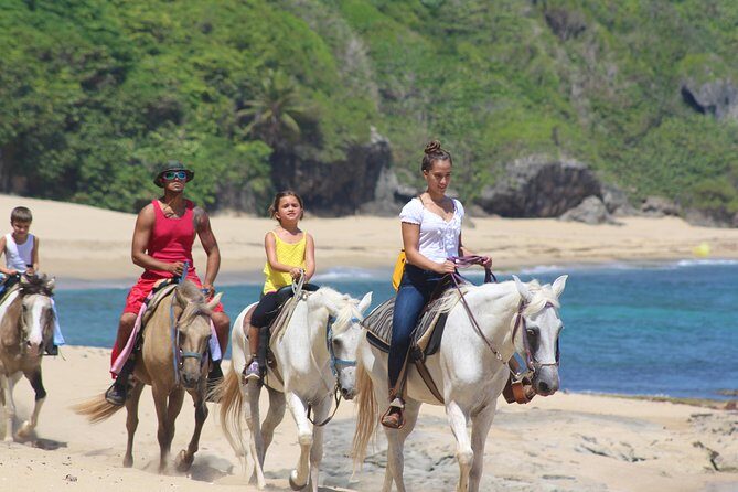 Horseback Riding through Secluded Beaches and Tropical Forests - Frequently Asked Questions