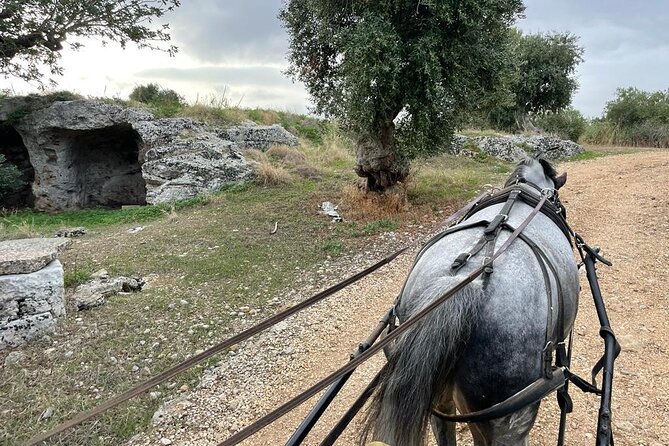 Horseback Riding Through the Apulian Countryside - Tour Location and Inclusions