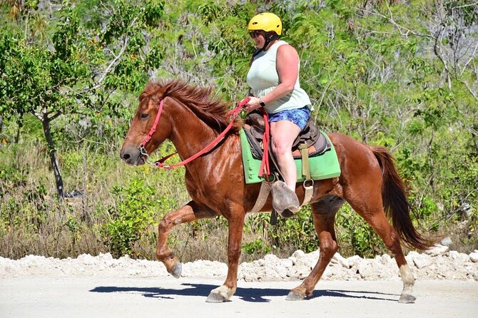 Horseback Riding Through the Beautiful Beaches of Punta Cana - Beachfront Horseback Riding Experience