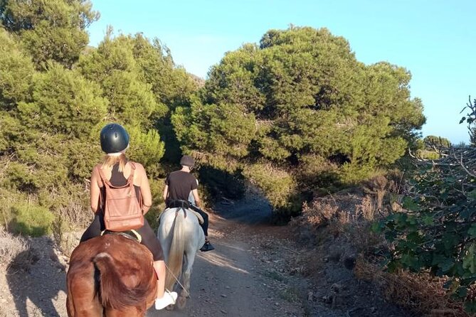 Horseback Riding Through the Calblanque Natural Park - What to Expect