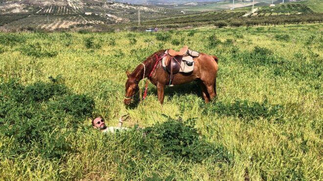 Horseback Riding Through the Olive Groves of Sciacca - Whats Included in the Package
