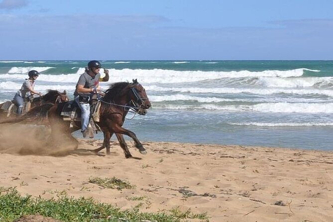 Horseback Riding to Maimon River from Punta Cana - An In-Depth Look at the Horseback Riding Tour from Punta Cana