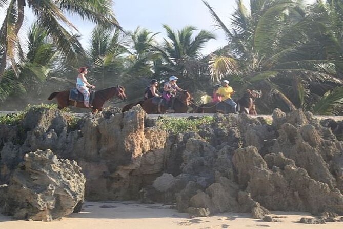 Horseback Riding to Maimon River From Punta Cana - Booking Details