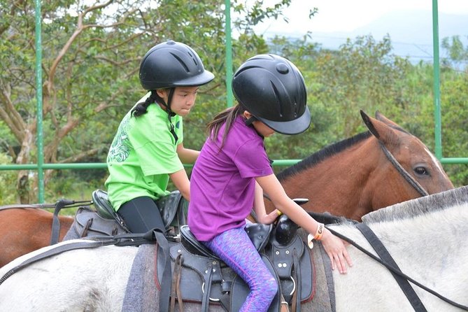 Horseback Riding to the Volcano at Arenal Wilberth Stable - Tour Highlights and Inclusions