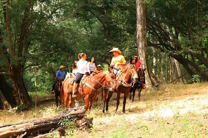 Horseback Riding Tour - Extra Insights from Reviews