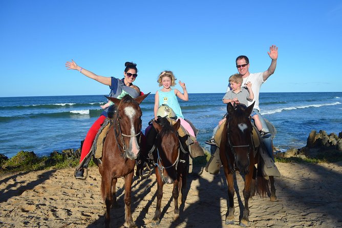 Horseback Riding Tour Adventure on the Beach - Expectations and Recommendations