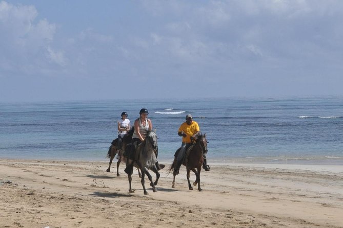 Horseback Riding Tour Adventure on the Beach - Cancellation Policy