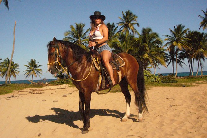 Horseback Riding Tour Adventure on the Beach - Expert Guidance