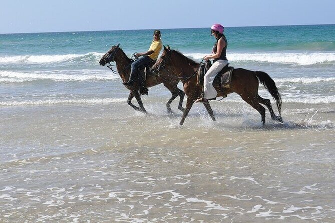 Horseback Riding Tour along the Beaches of Punta Cana - Good To Know
