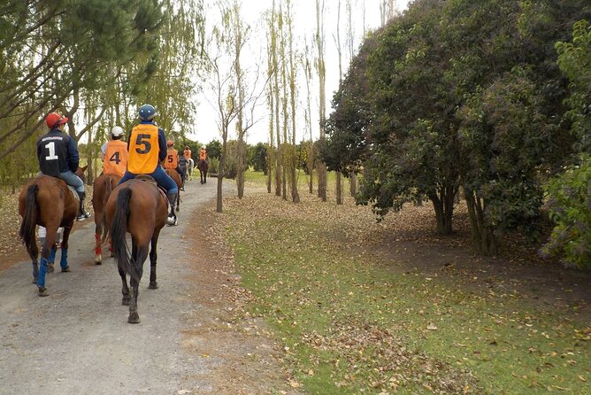 Horseback Riding Tour and Asado in Argentine Countryside - Tour Inclusions