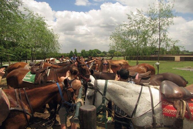 Horseback Riding Tour and Asado in Argentine Countryside - Accessibility Information