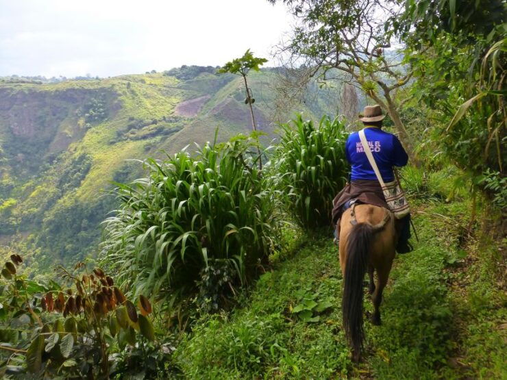 Horseback Riding Tour and Visit to Tablón, Chaquira, Pelota - Booking Information