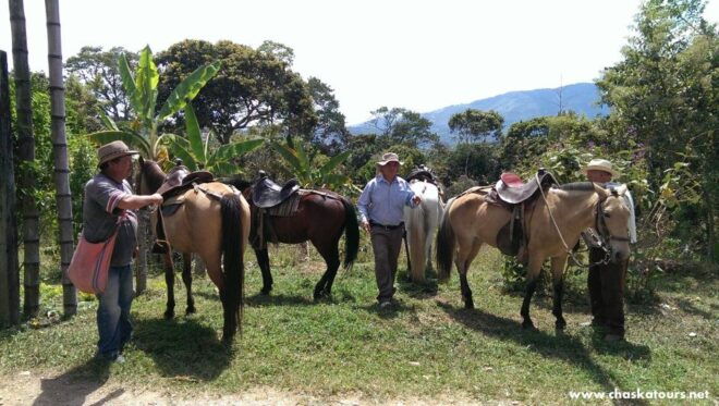 Horseback Riding Tour and Visit to Tablón, Chaquira, Pelota - Main Highlights