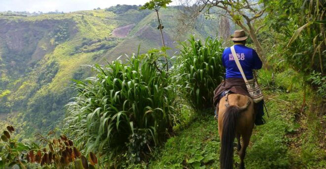 Horseback Riding Tour and Visit to Tablón, Chaquira, Pelota - Free Cancellation Policy