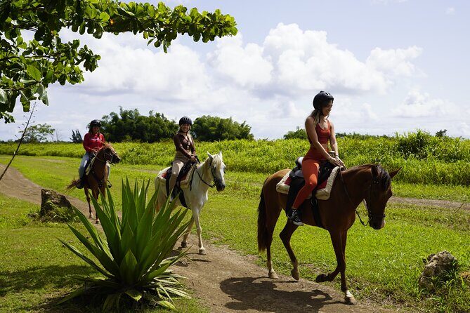 Horseback Riding Tour at Private Ranch - Good To Know