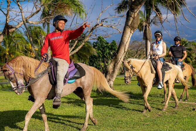 Horseback Riding Tour at Private Ranch - The Value of $113 for a Two-Hour Experience