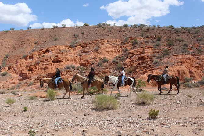 Horseback Riding Tour Cool Mountain Weather W/ BBQ Lunch in Vegas - Important Considerations and Restrictions