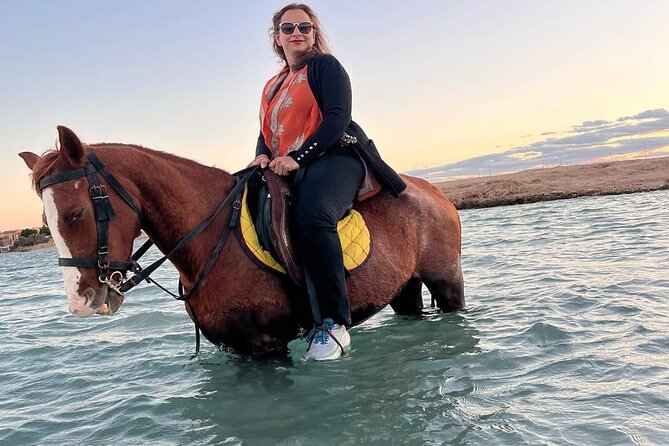 Horseback Riding Tour Desert & Beach at Nabq Bay - Sharm Elsheikh - Customer Reviews