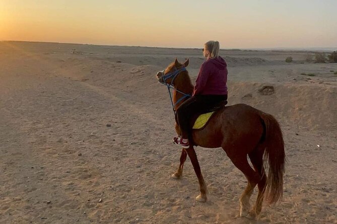 Horseback Riding Tour Desert & Beach at Nabq Bay - Sharm Elsheikh - Frequently Asked Questions
