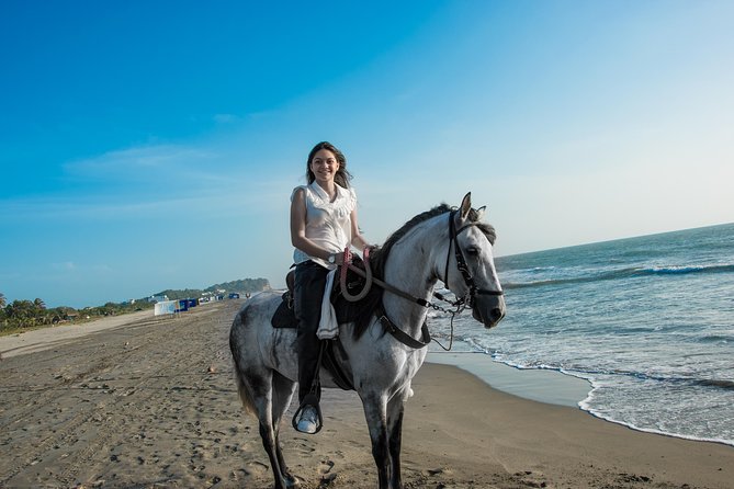 Horseback Riding Tour in Beach of Cartagena - Logistics and Additional Information