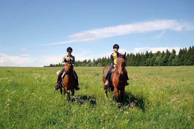 Horseback Riding Tour in Bohemian Switzerland - The Sum Up