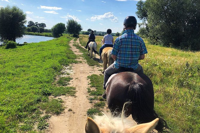 Horseback Riding Tour In Brasov - Ride Through Fields, Forests & Hills - Tour Highlights