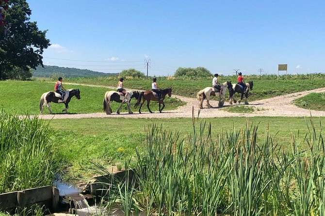 Horseback Riding Tour In Brasov - Ride Through Fields, Forests & Hills - Wildlife Observations