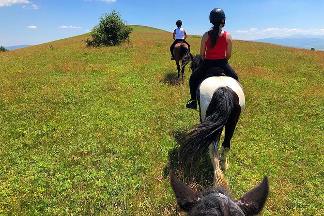 Horseback Riding Tour In Brasov - Ride Through Fields, Forests & Hills - Customer Reviews