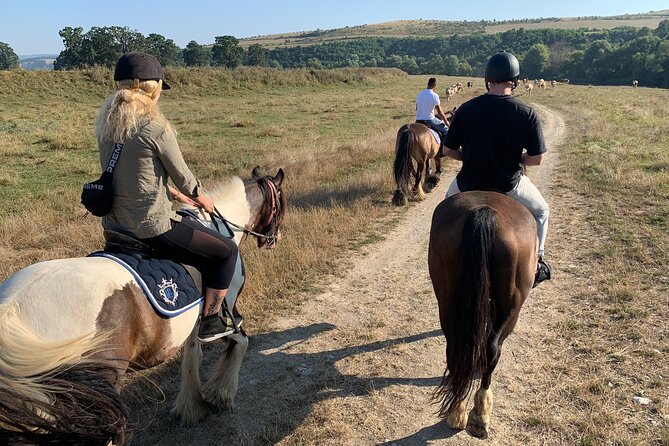Horseback Riding Tour In Brasov - Ride Through Fields, Forests & Hills - The Sum Up