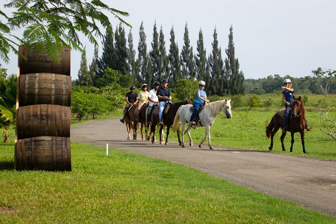 Horseback Riding Tour in Carolina - Overview and Experience