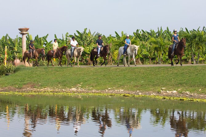 Horseback Riding Tour in Carolina - What to Expect and Restrictions