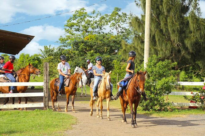 Horseback Riding Tour in Carolina - Cancellation Policy